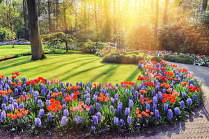 Spring-Landscape-With-Colorful-86021720_copy.jpg